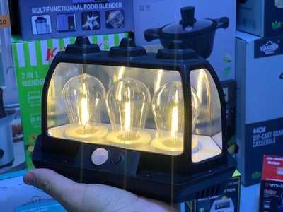 Solar induction wall lamp HW 669-3w