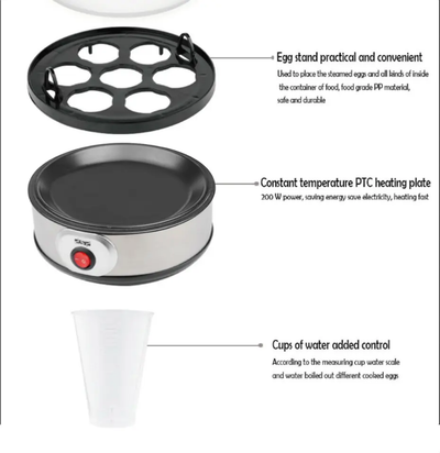 Lot Imported High Quality DSP Eggs Boiler
