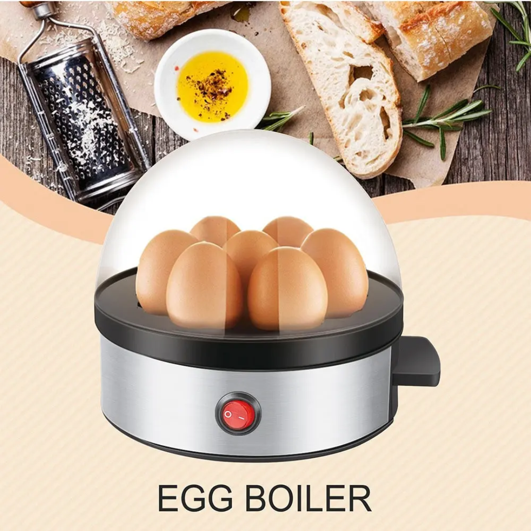 Lot Imported High Quality DSP Eggs Boiler