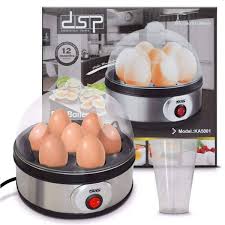 Lot Imported High Quality DSP Eggs Boiler
