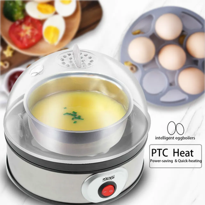 Lot Imported High Quality DSP Eggs Boiler