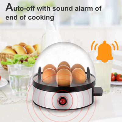 Lot Imported High Quality DSP Eggs Boiler