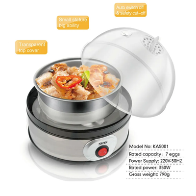 Lot Imported High Quality DSP Eggs Boiler