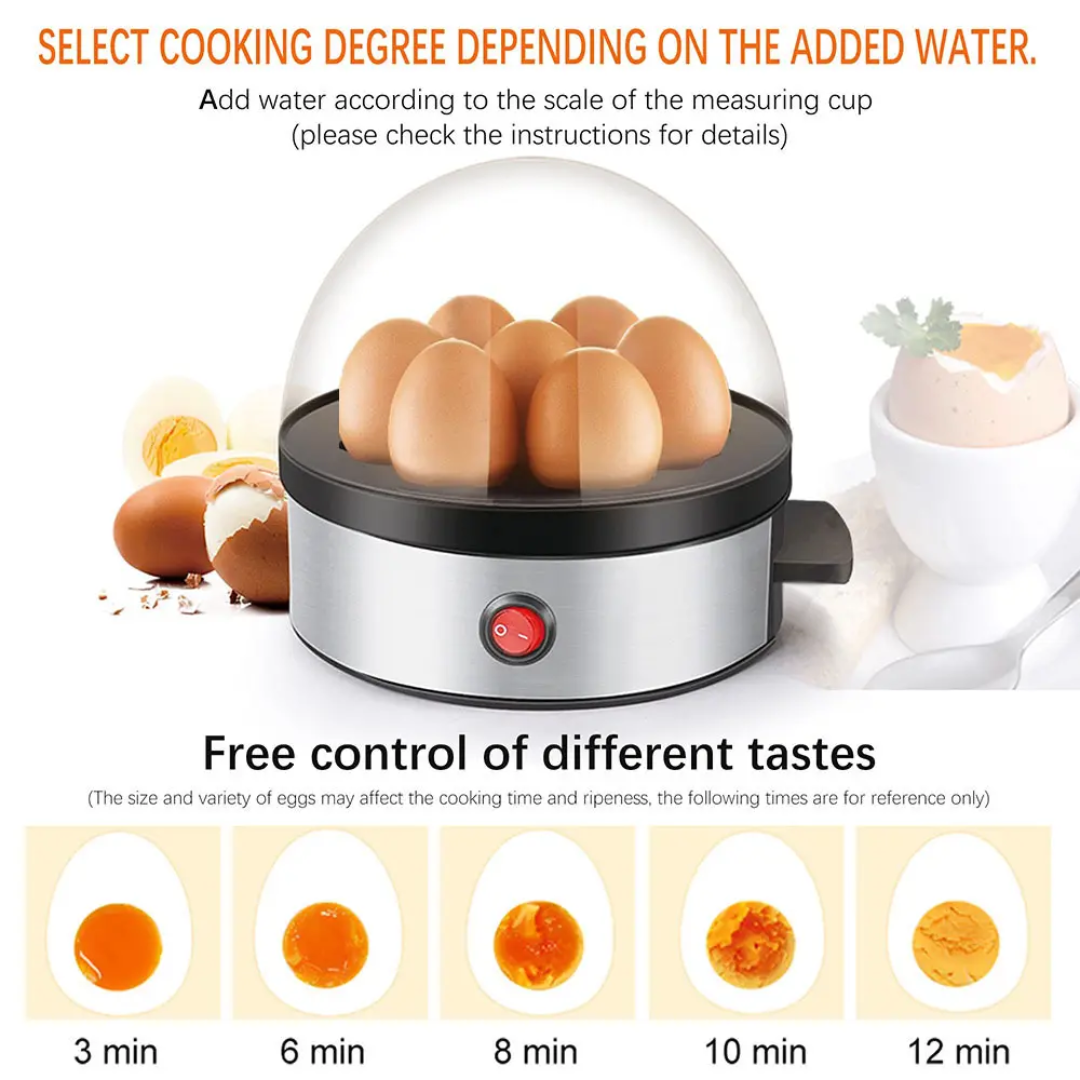 Lot Imported High Quality DSP Eggs Boiler