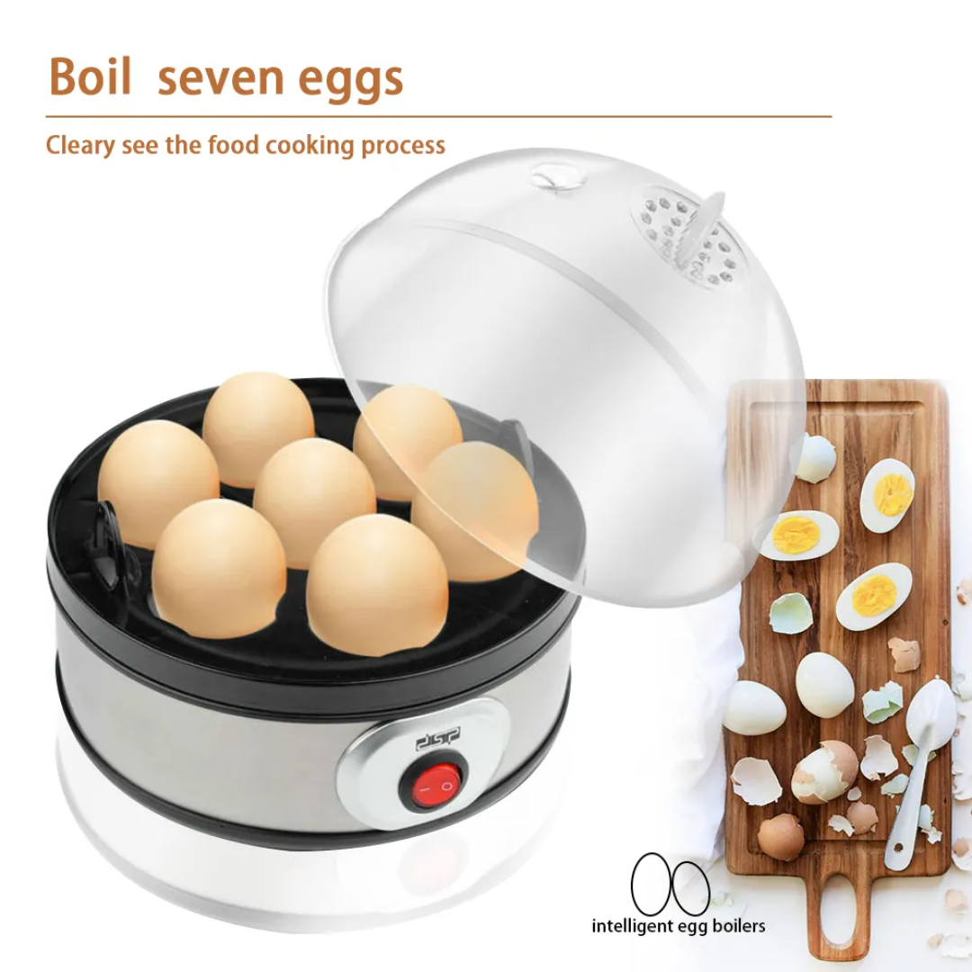 Lot Imported High Quality DSP Eggs Boiler